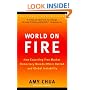 World on Fire: How Exporting Free Market Democracy Breeds Ethnic Hatred and Global Instability