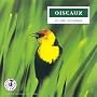 Oiseaux : Le chant des oiseaux