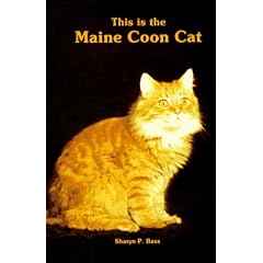 This Is the Maine Coon Cat