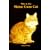 This Is the Maine Coon Cat