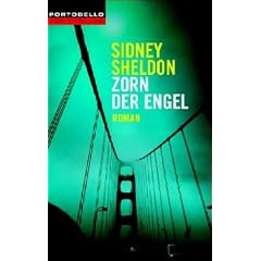 Zorn der Engel: Roman