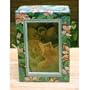 Flower Fairies of the Woodland