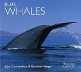 BLUE WHALES (WORLDLIFE LIBRARY)