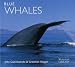 BLUE WHALES (WORLDLIFE LIBRARY)