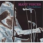 Click here to buy Many Voices by  John Sullivan .