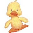 Little Quack