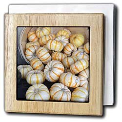 Autumn Mini Pumpkins- Halloween- Thanksgiving - 6 Inch Tile Napkin Holder