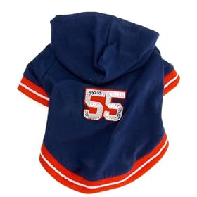 Wanted Dog Baseball Jumper Blue
