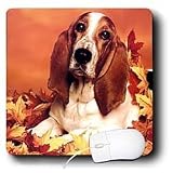 Dogs Basset Hound - Basset Hound - Mouse Pads