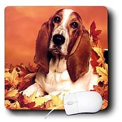 Dogs Basset Hound - Basset Hound - Mouse Pads
