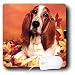 Dogs Basset Hound - Basset Hound - Mouse Pads