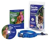 Premier Pet Products Medium Gentle Leader Headcollar- Blue