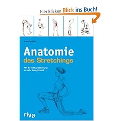Anatomie des Stretchings: Mit der richtigen Dehnung zu mehr Beweglichkeit