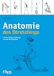 Anatomie des Stretchings: Mit der richtigen Dehnung zu mehr Beweglichkeit