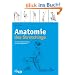 Anatomie des Stretchings: Mit der richtigen Dehnung zu mehr Beweglichkeit