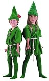 Peter Pan Childrens Costume