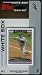 2006 Topps Chicago White Sox Special Edition Baseball Card Team Set (14 cards including Paul Konerko, Jermaine Dye, Joe Crede, AJ Pierzynski, Tadahito Iguchi, Scott Podsednik, Jim Thome, Jon Garland, & more)