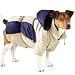 Dog Apparel