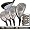 PROSiMMON Icon Hybrid Iron-Wood Set 1-2-3-4 w/Headcovers