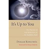 It's Up to You: The Practice of Self-Reflection on the Buddhist Path
