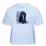 Black and white Toy Poodle - Light Blue Infant Lap-Shoulder Tee (24M)