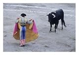 Bullfight, Aguascalientes, Mexico, Mexican People Photographic Poster Print by Jeff Greenberg, 24x18