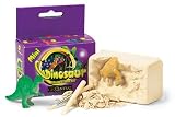 GeoCentral Mini Dinosaur Excavation Kit - Stegoceras