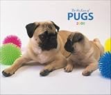 For the Love of Pugs 2008 Deluxe Wall Calendar