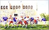 Football Chair Rail Mural