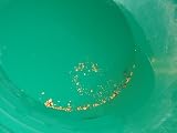 How to Make Money Prospecting For Gold