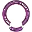 8 Gauge Purple Anodized Titanium Segment Ring Circular Barbell