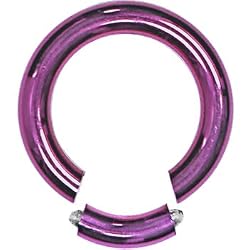 8 Gauge Purple Anodized Titanium Segment Ring Circular Barbell