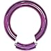 8 Gauge Purple Anodized Titanium Segment Ring Circular Barbell