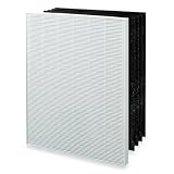Winix 115115 True HEPA Plus 4 Replacement Filter