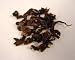 Wild 'Purple' Tea Leaves - Gourmet Teas from China
