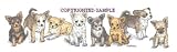 Chihuahua - Puppies in a Row by Cindy Farmer, Longhair
