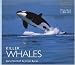Killer Whales (Worldlife Library)