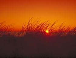 Sunset on North Carolina's Outer Banks - 16"x20" - Fine-Art Gicl??e Photographic Print by Carol M. Highsmith