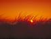 Sunset on North Carolina's Outer Banks - 16"x20" - Fine-Art Gicl??e Photographic Print by Carol M. Highsmith