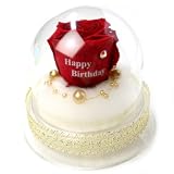 メッセージローズ (Preserved Rose) ローズドーム S1~情熱のラブジャック アトミック~レッド 【バースデイストーン☆10月】【Happy Birthday】 22237
