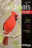 Bird Watcher's Digest Enjoying Cardinals More < Backyard Bird Supplies @ Magnificent Frigatebird