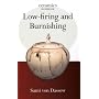 Low-firing and Burnishing (Ceramics Handbooks)