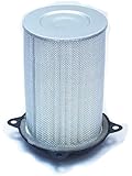 Hiflofiltro HFA3503 Premium OE Replacement Air Filter