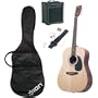 Ion iAEG04 Acoustic Electric Guitar Kit