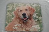 Review The Moneyman  / Golden Retriever DOG Mouse Mat Pad New GIFT K9