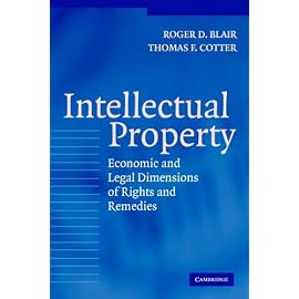 Intellectual Property: Economic and Legal Dimensions of Rights and Remedies