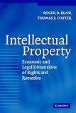 Intellectual Property: Economic and Legal Dimensions of Rights and Remedies