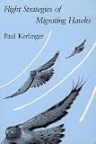Flight Strategies of Migrating Hawks
