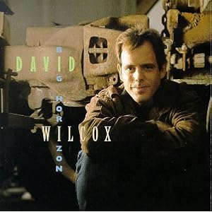 David Wilcox - Big Horizon
