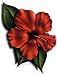 Hawaiian Hibiscus Flower Air Fresheners ~3 pack set